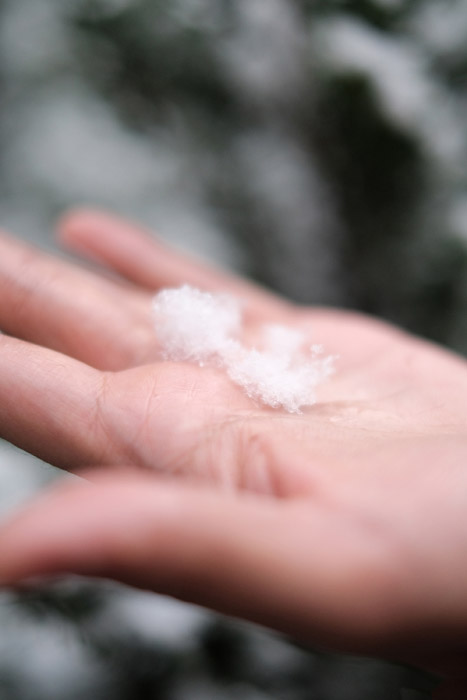 叶项明冬日雪地帅气唯美写真照