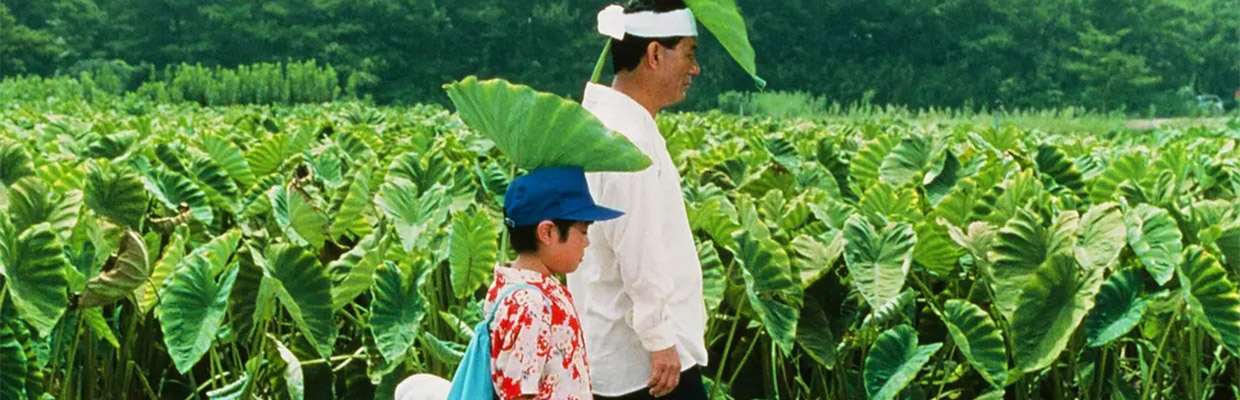 菊次郎的夏天